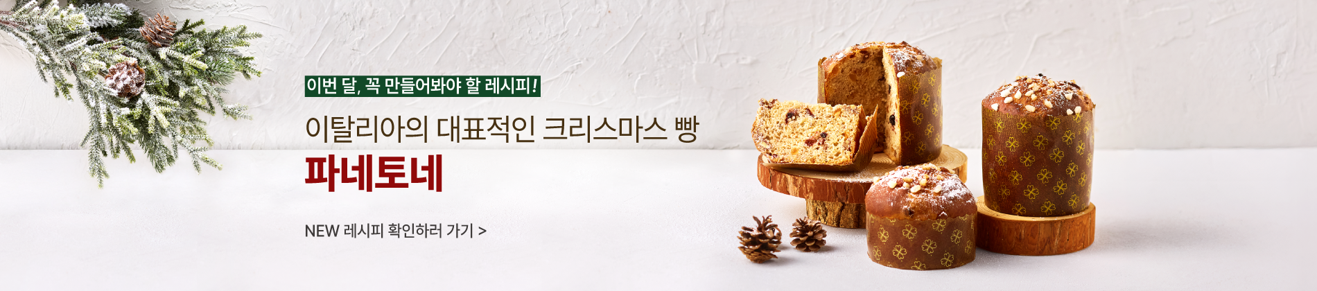 11월 레시피 파네토네